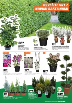 OBI katalog akcije – veljaven od 03.03.2026 | Stran: 5 | Izdelki: Kos