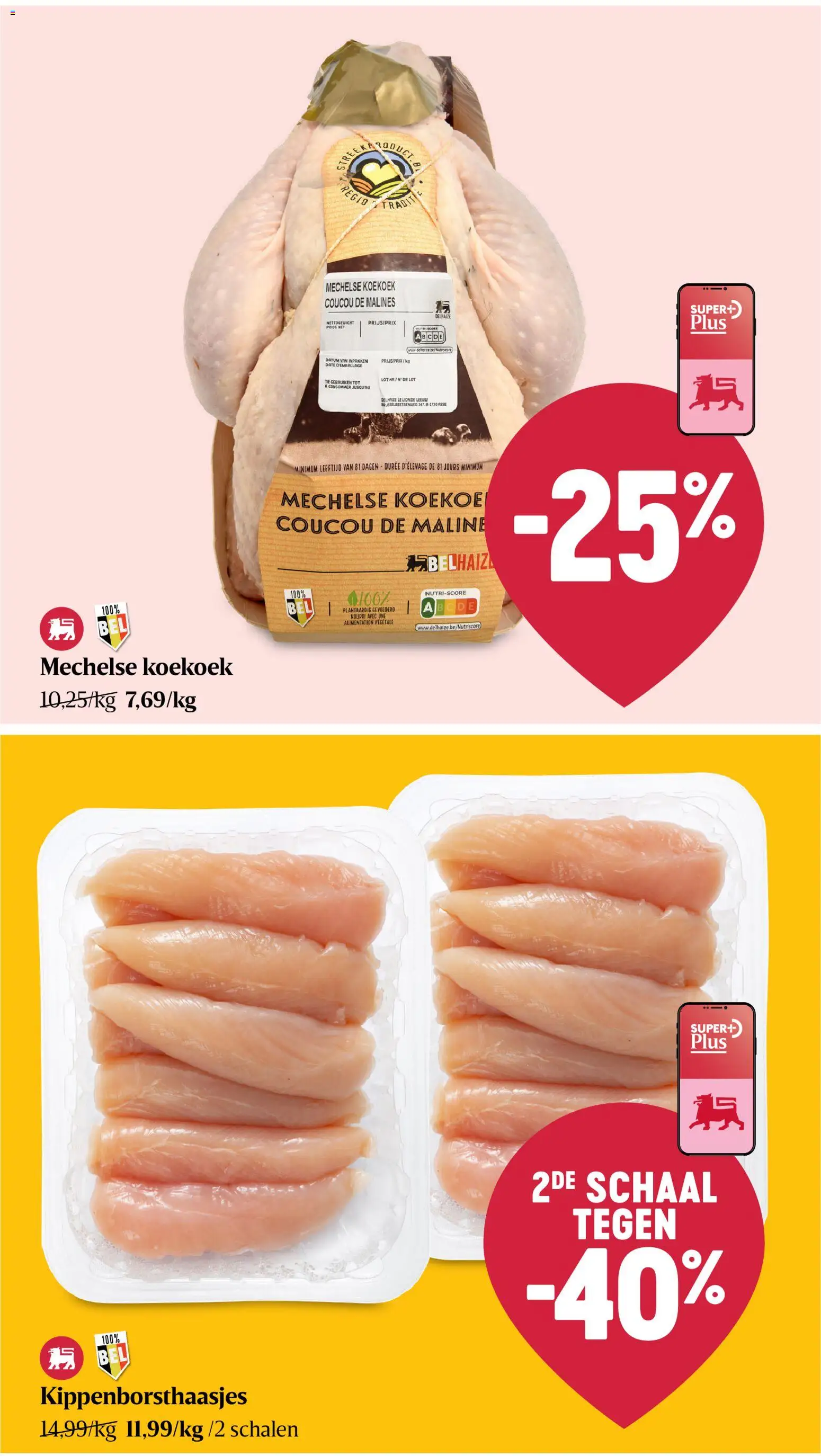 {H1} | Pagina: 21 | Producten: Schaal