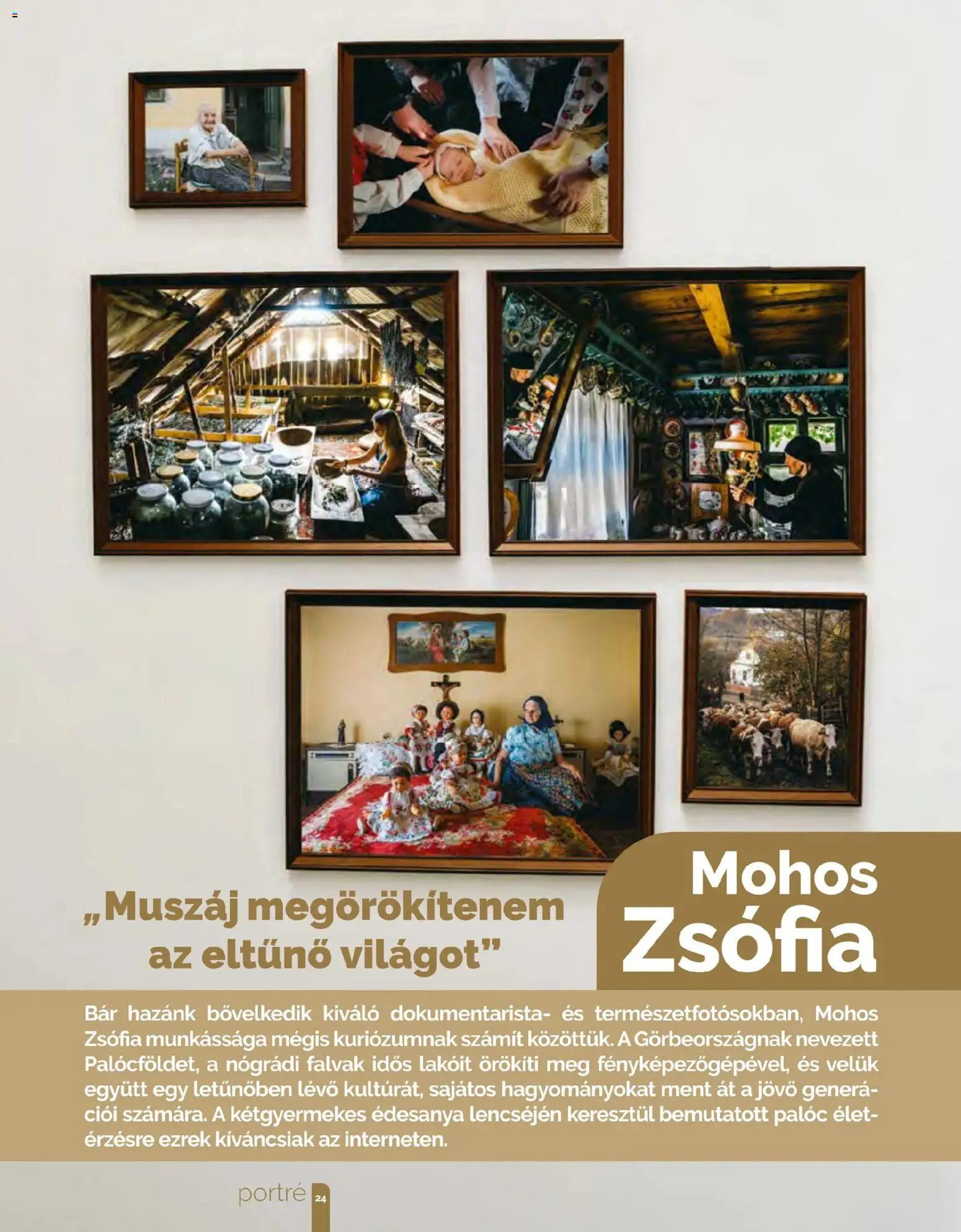 Pingvin Patika akciós ujság - amely érvényes a következő dátumtól: 01.02.2026 | Oldal: 24