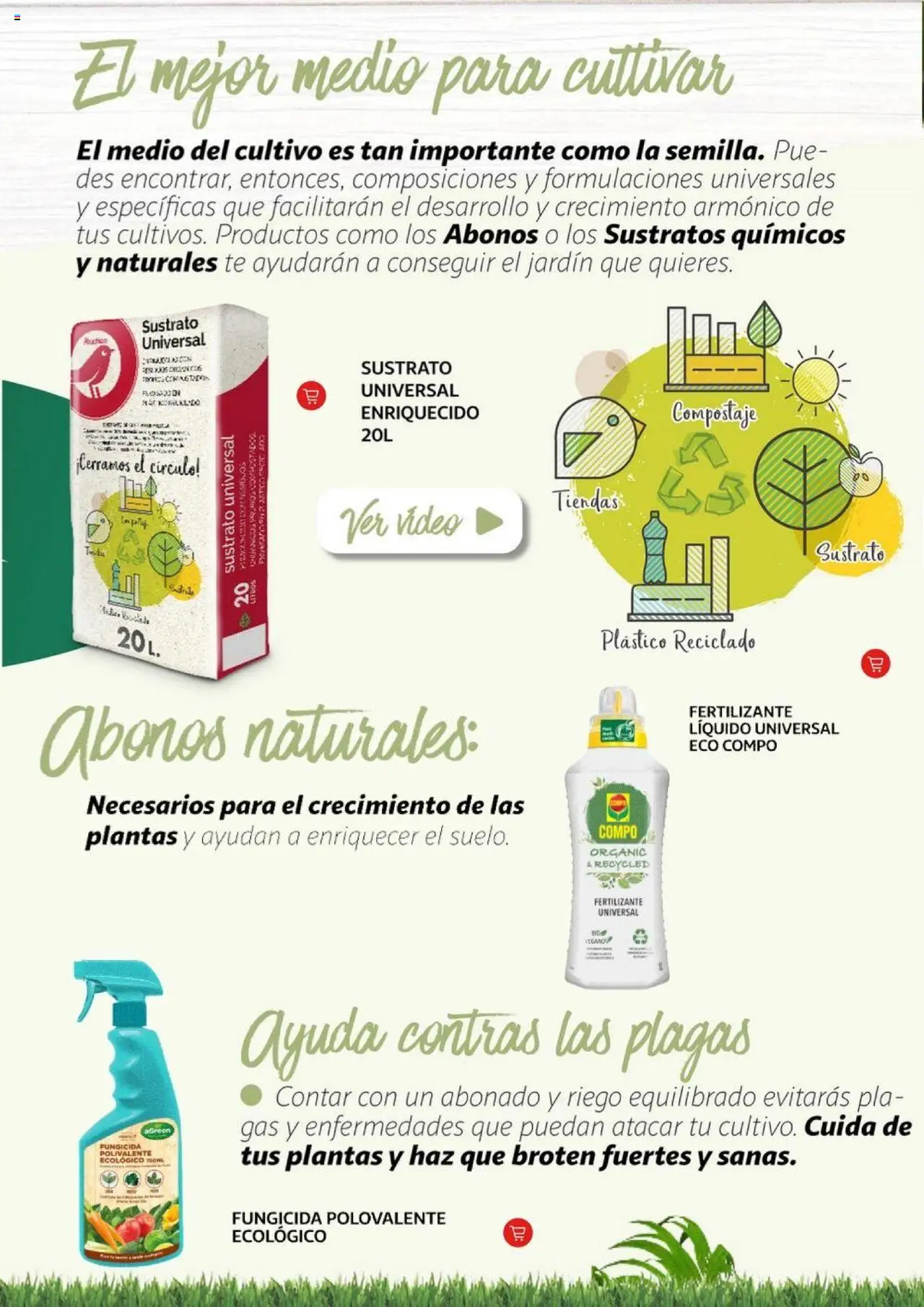 Alcampo - Jardín │ válido desde el 11.02.2025 | Página: 6 | Productos: Té, Video