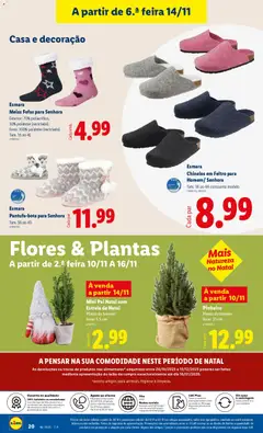 Pré-visualização Chinelos em Feltro para Homem/Senhora, Tam. 36 ao 44 consoante modelo válido de 10.11.2025 | Página: 20 | Produtos: Chinelos, Flores, Vaso, Meias