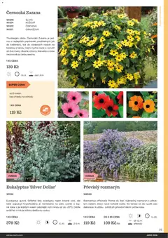 Náhled letáku Starkl katalog Jaro 2026 od 25.02.2026 | Strana: 25