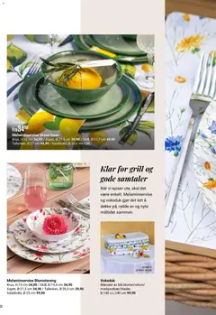 Forhåndsvisning av Europris Sommerkatalogen 2026 gyldig fra 24.03.2026 | Side: 36 | Produkter: Сервер, Grill