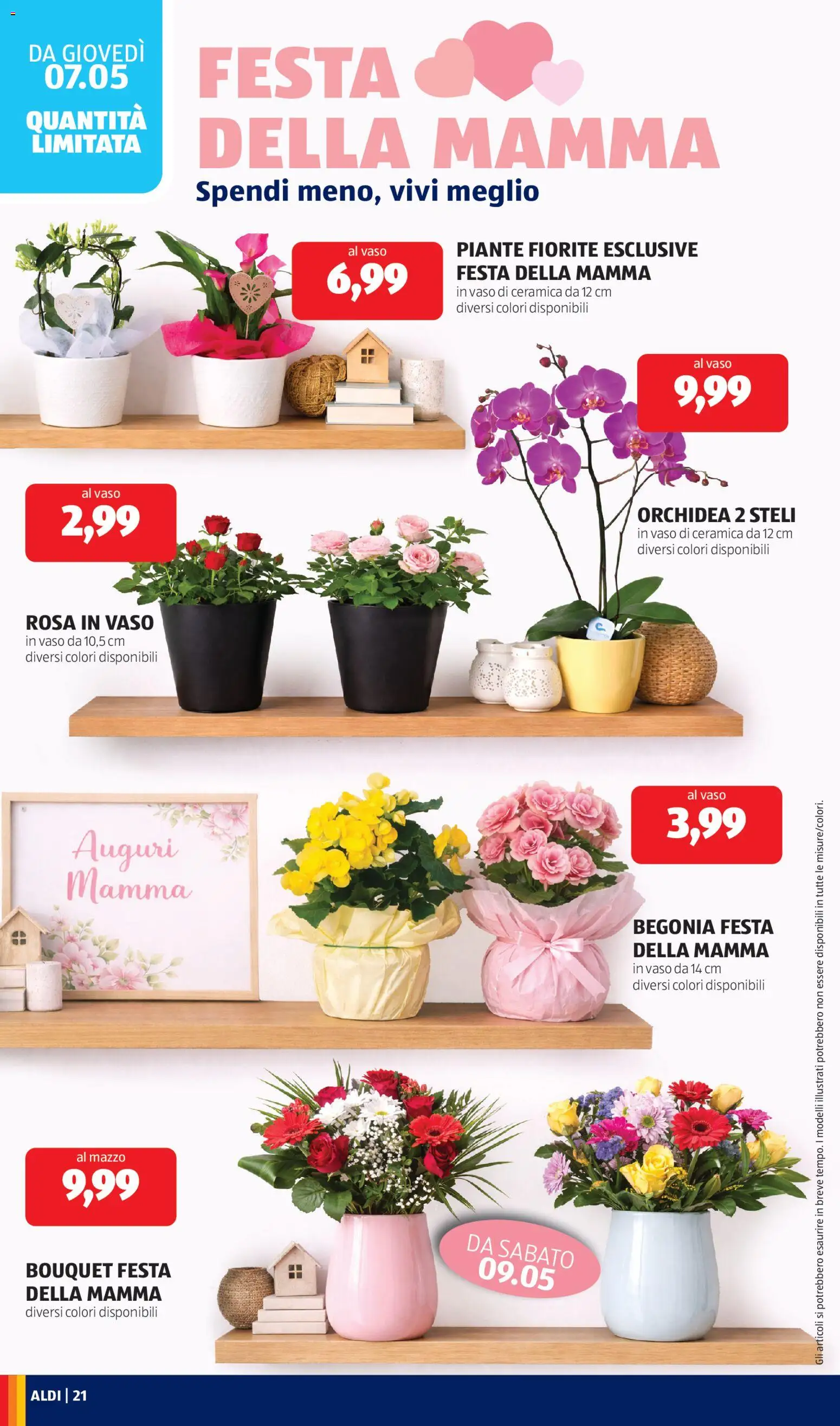 Volantino Aldi del 04.05.2026 | Pagina: 21 | Prodotti: Orchidea, Vaso