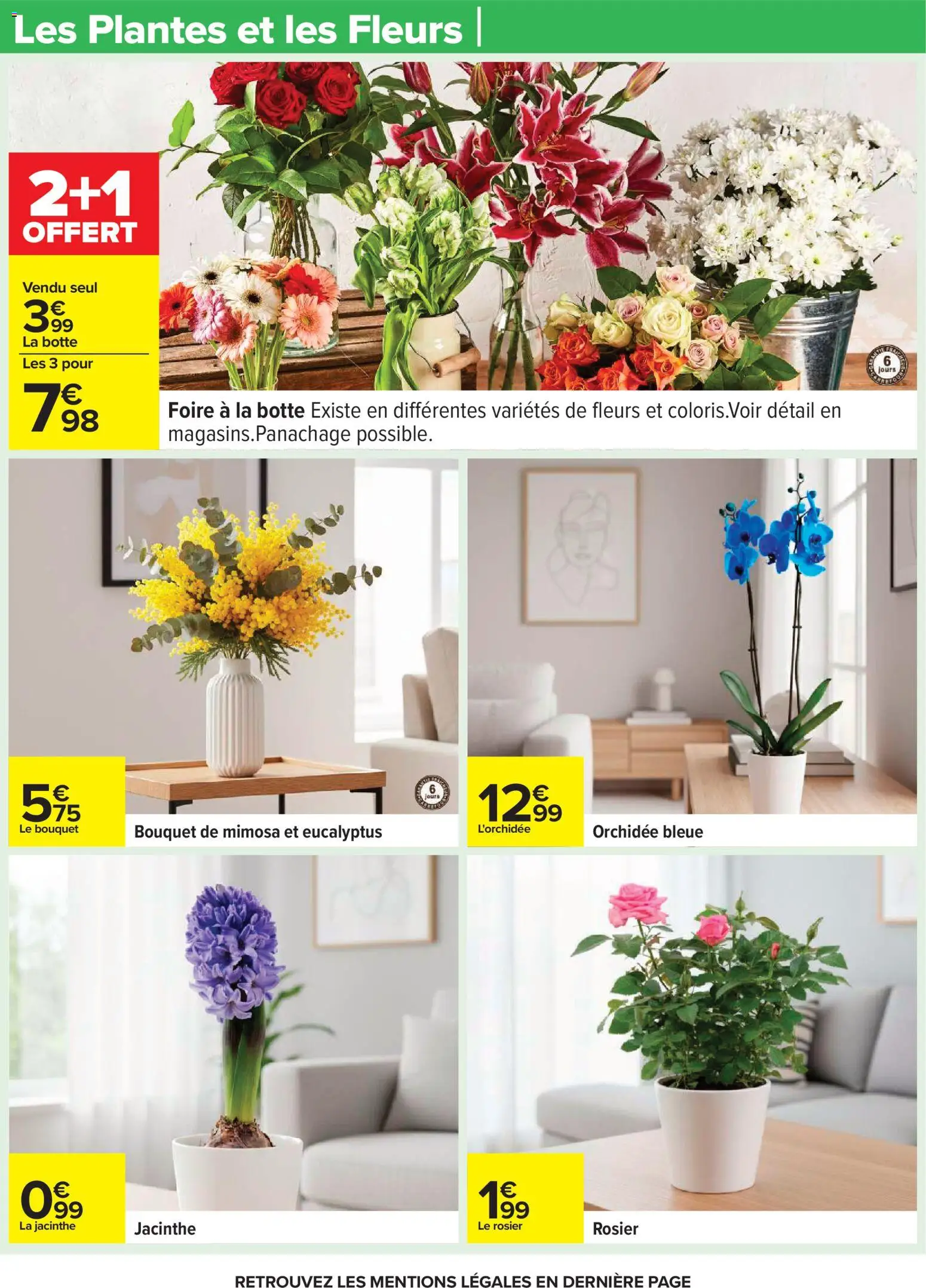 {H1} | Page: 39 | Produits: L'orchidée, Rosier, Plantes, Orchidée