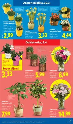 Katalog Lidl - Pregled kataloga iz trgovine Lidl, vrijedi od 30.03.2026 | Stranica: 43