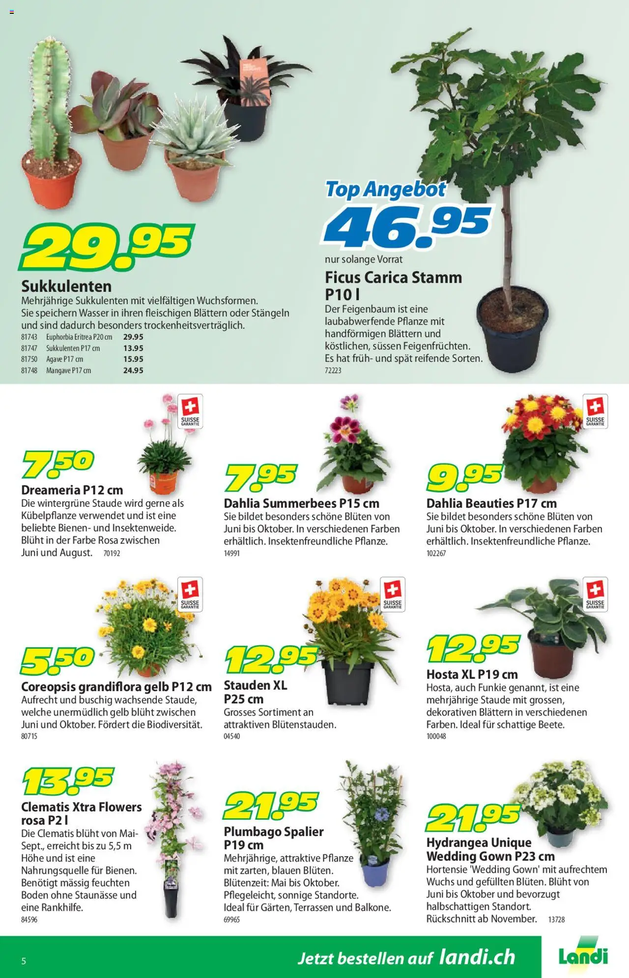 Landi Aktionen ab 23.06.2025 | Seite: 9 | Produkte: Ipod, Wasser, Top