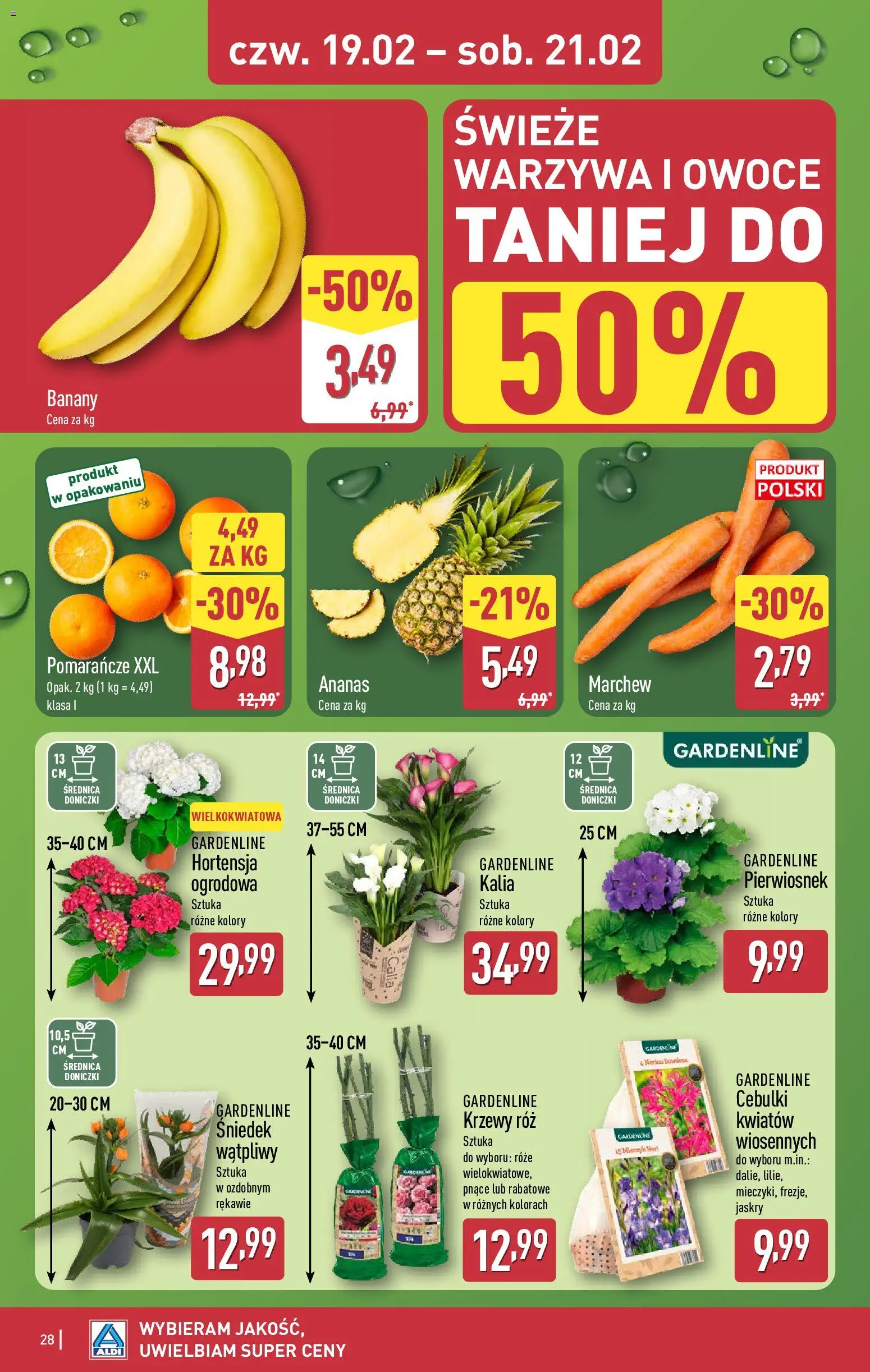 Aldi Polsko leták od 16.02.2026 | Strana: 28 | Produkty: Banány, Ananas