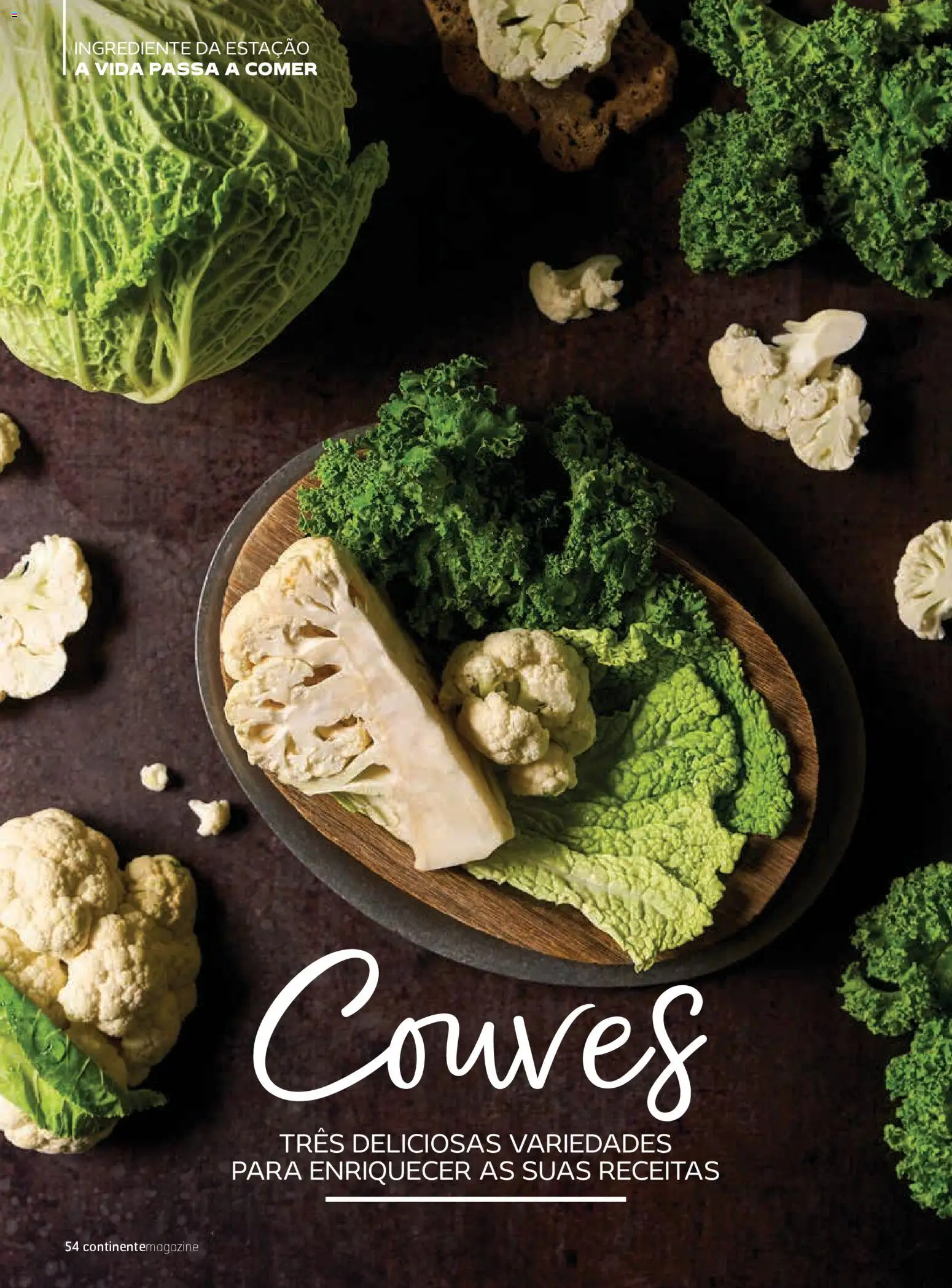 Continente - Magazine │ válido de 06.01.2026 | Página: 16