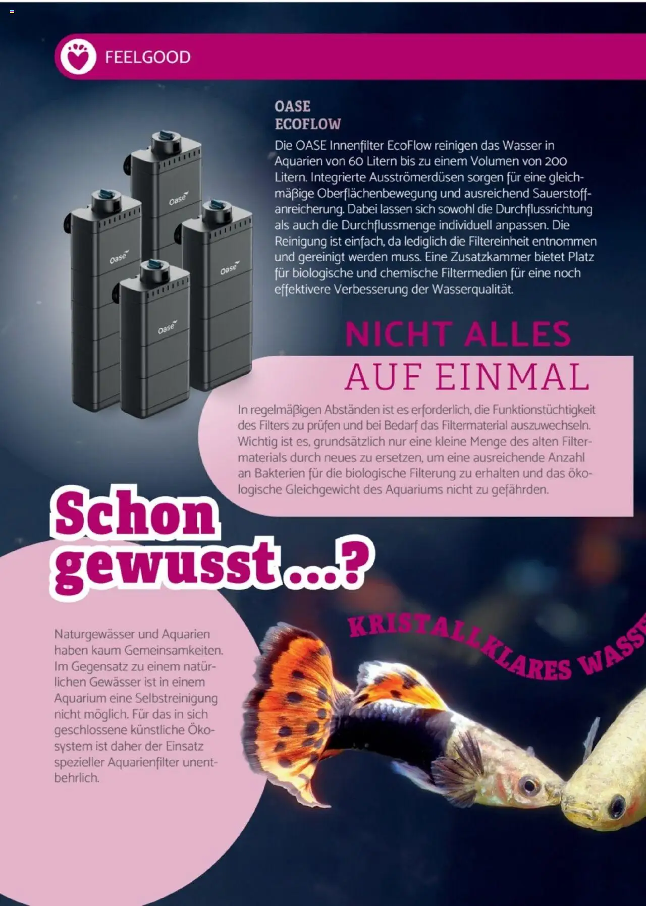 zookauf Heimtier Journal Special – gültig ab 01.09.2025 | Seite: 6 | Produkte: Wasser