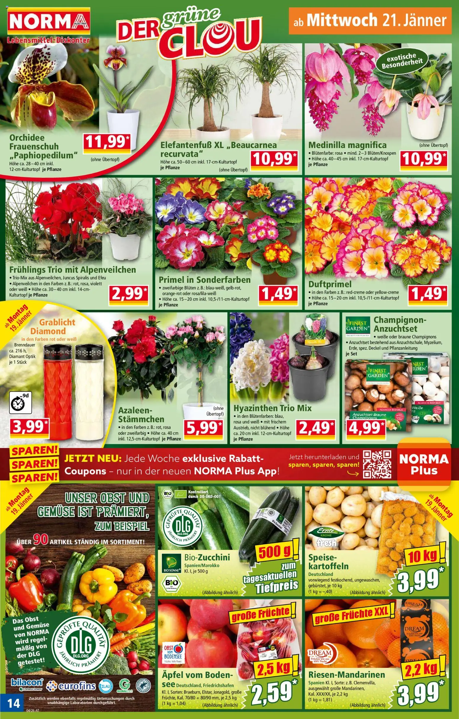Norma Flugblatt gültig ab 19.01.2026 | Seite: 14 | Produkte: Kartoffeln, Gemüse, Obst, Äpfel