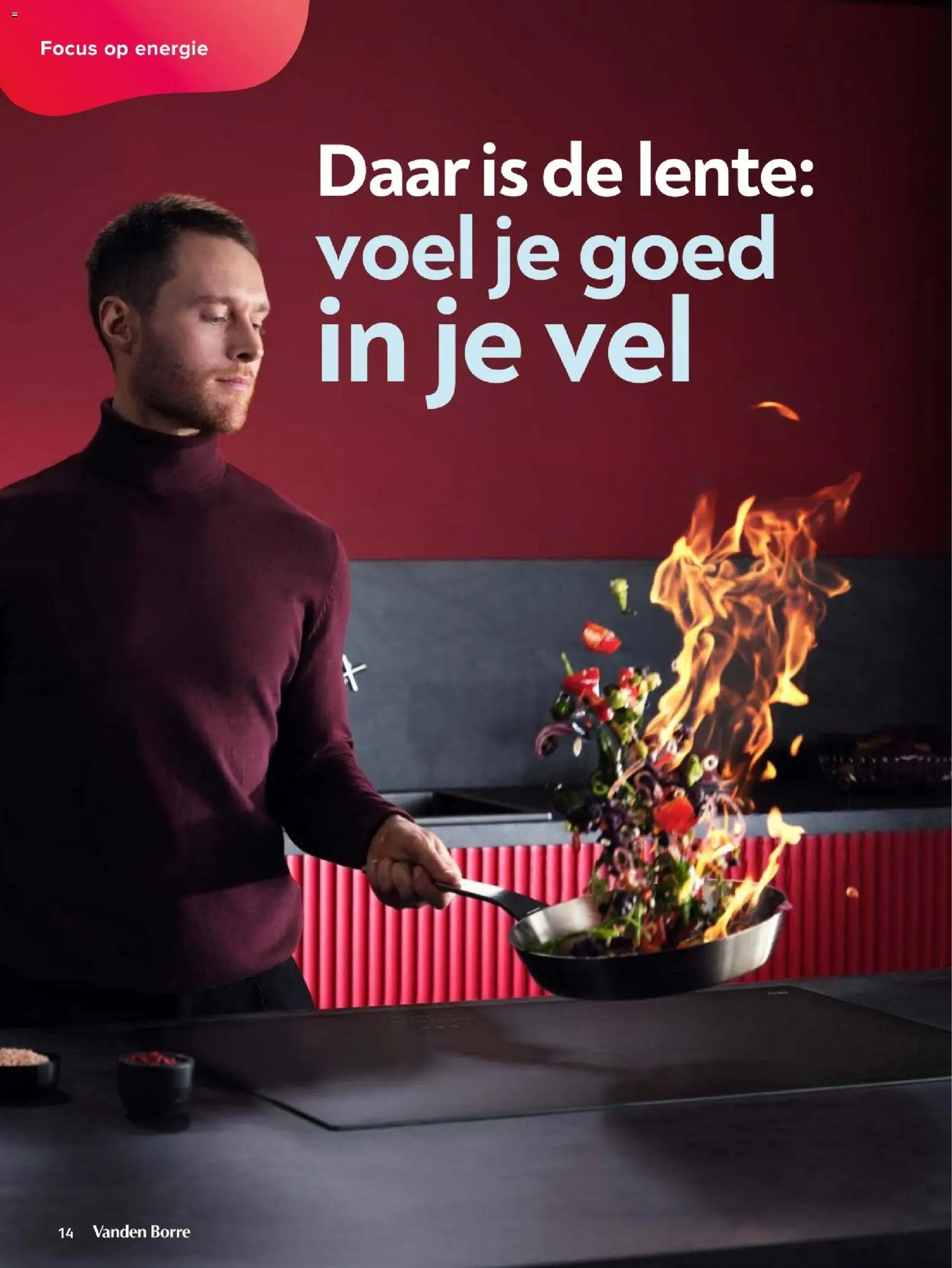 Nieuwe » Vanden Borre folder van 02/02/2026 🤩  « is er! Ontdek geweldige aanbiedingen en bespaar. | Belgium