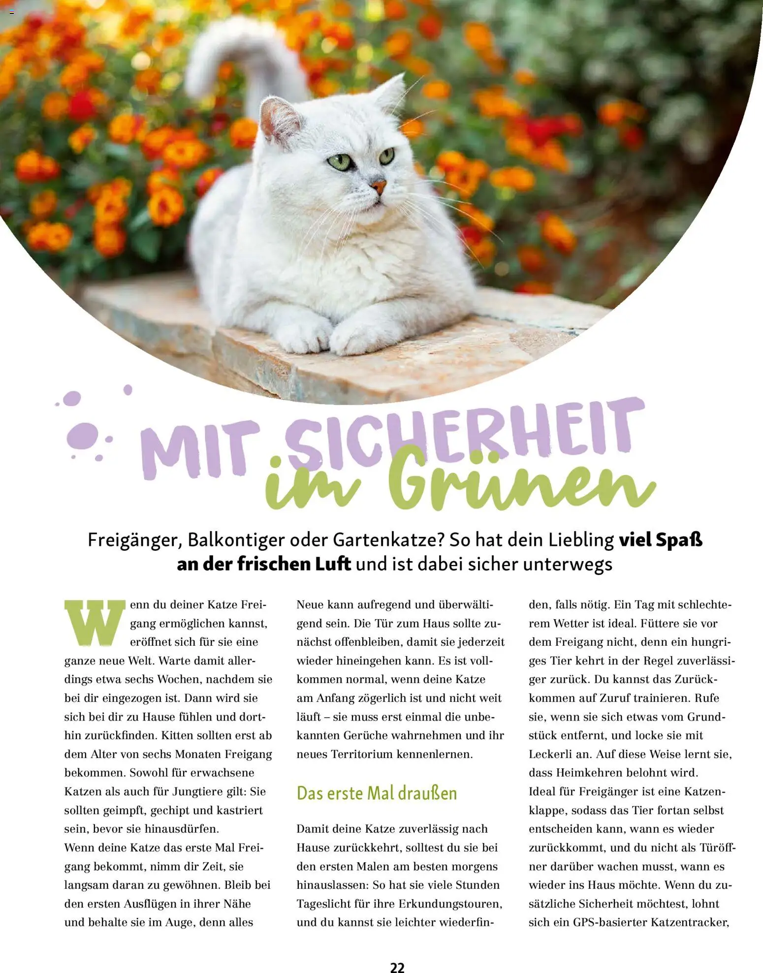 Fressnapf Friends Magazin – gültig ab 02.03.2026 | Seite: 22 | Produkte: Tür