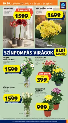 Aldi Akciós újság - amely érvényes a következő dátumtól: 30.10.2025 | Oldal: 31