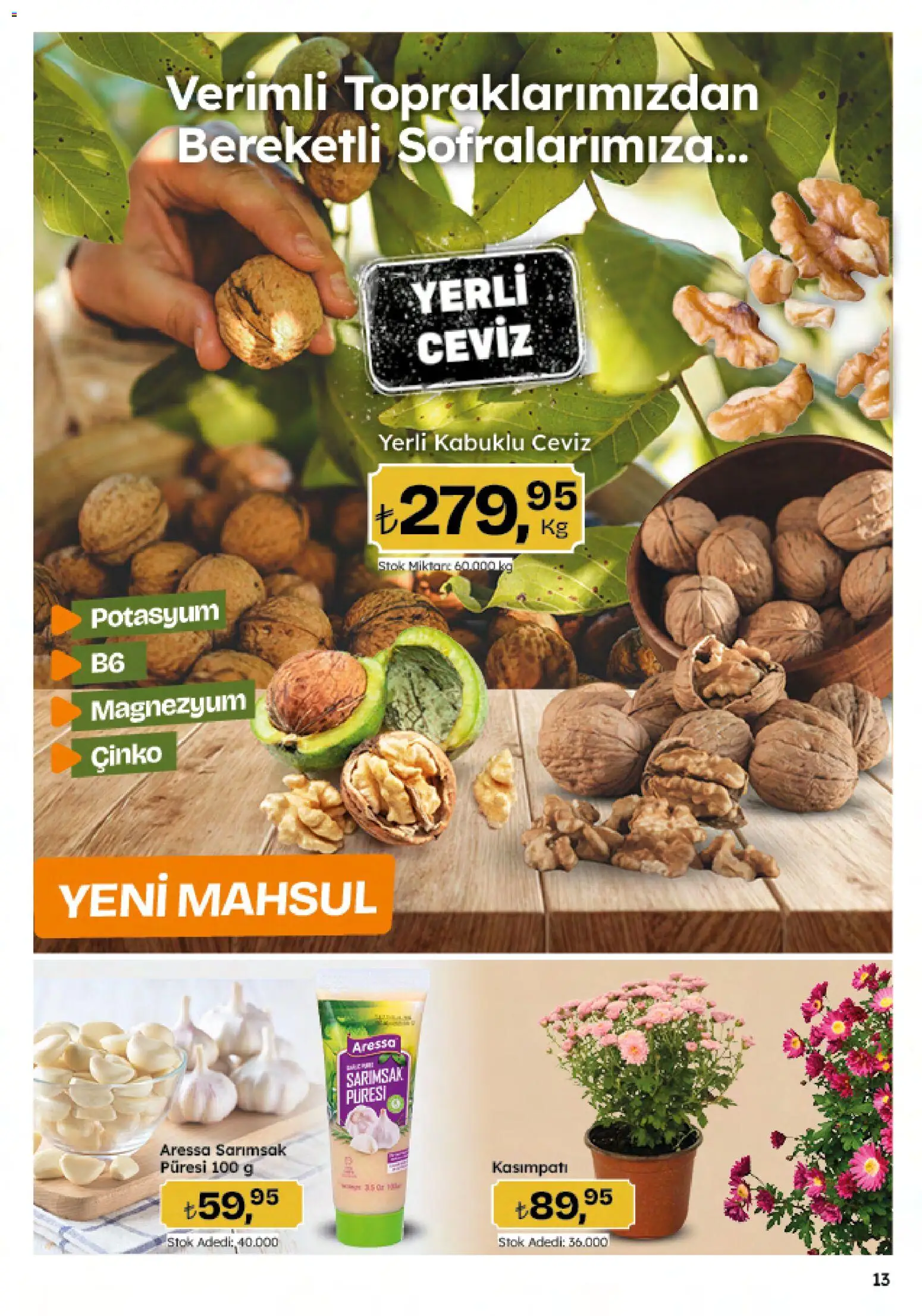 Migros Katalog - 5M Migroskop Dijital - 06.11.2025 tarihinden itibaren geçerlidir | Sayfa: 13 | Ürünler: Sarımsak, Ceviz