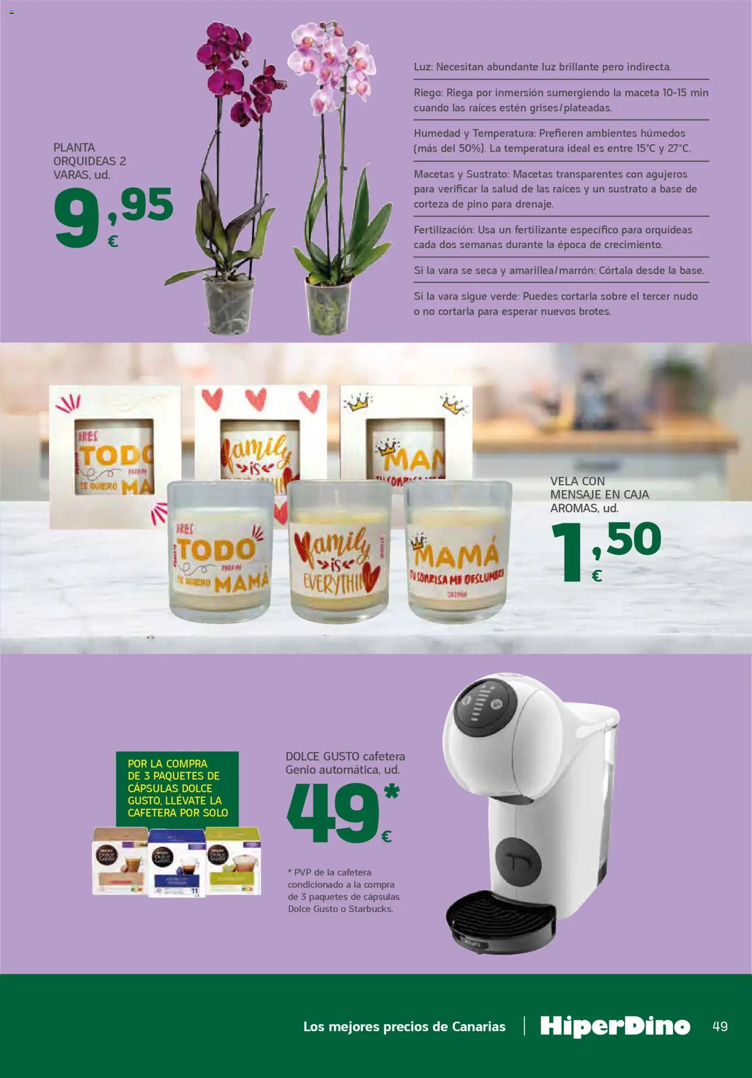 HiperDino folleto │ válido desde el 23.04.2026 | Página: 49 | Productos: Vela, Cafetera, Caja, Maceta