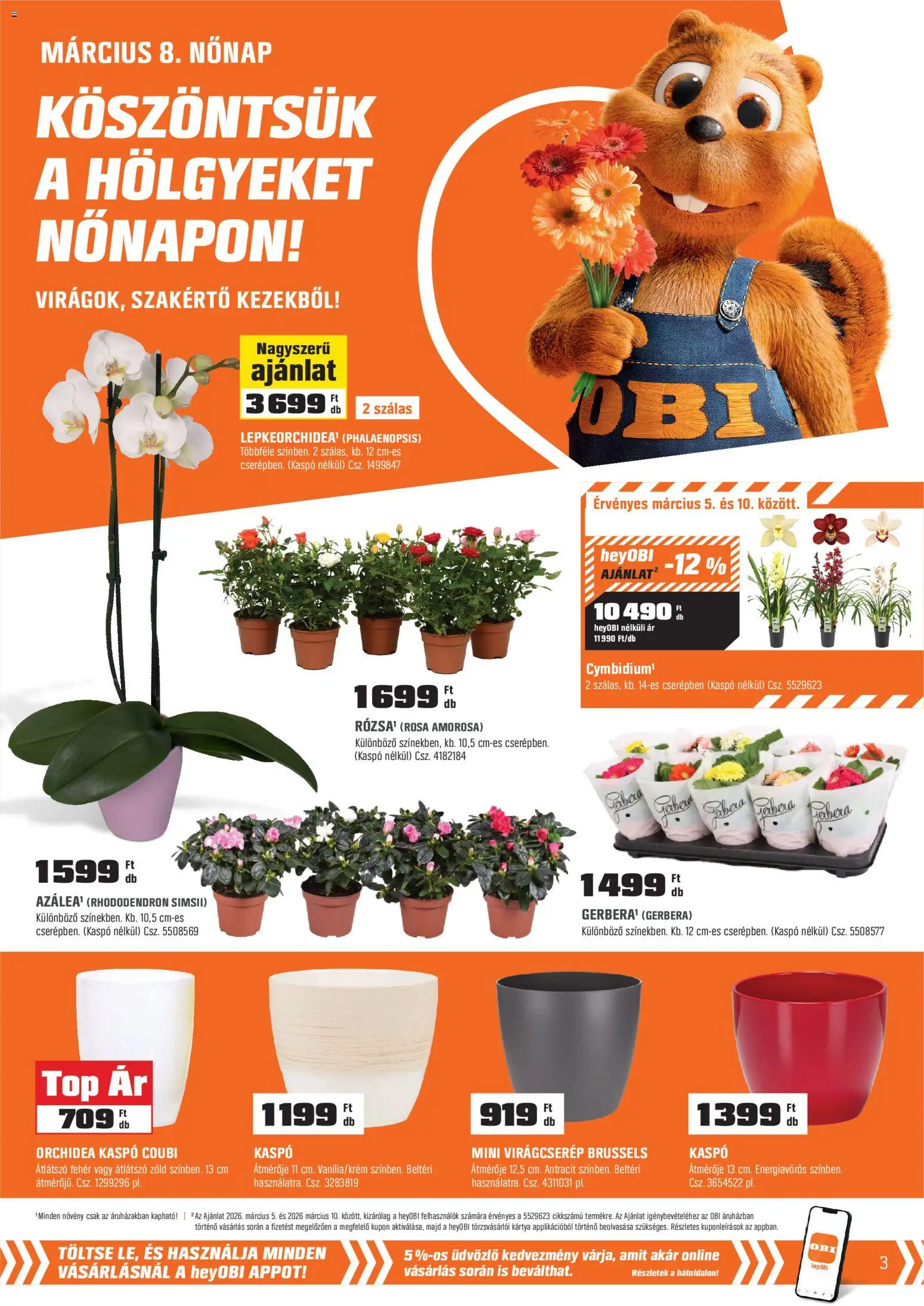 OBI akciós ujság - amely érvényes a következő dátumtól: 03.03.2026 | Oldal: 3 | Termékek: Orchidea, Virágcserép, Rhododendron, Kaspó