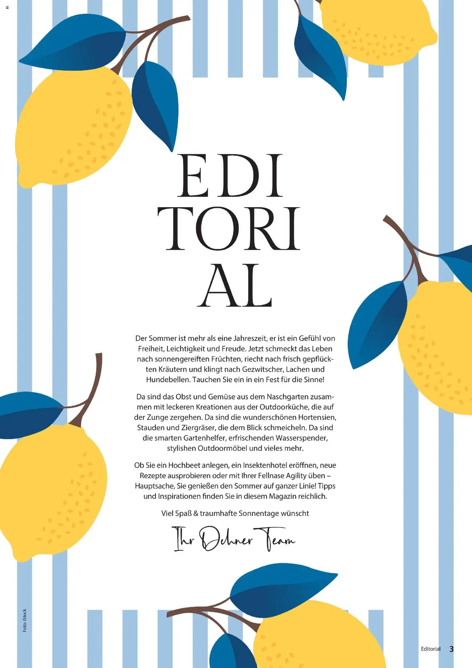 Dehner Prospekt 	 – gültig ab 17.04.2026 | Seite: 3 | Produkte: Hochbeet, Gemüse, Obst