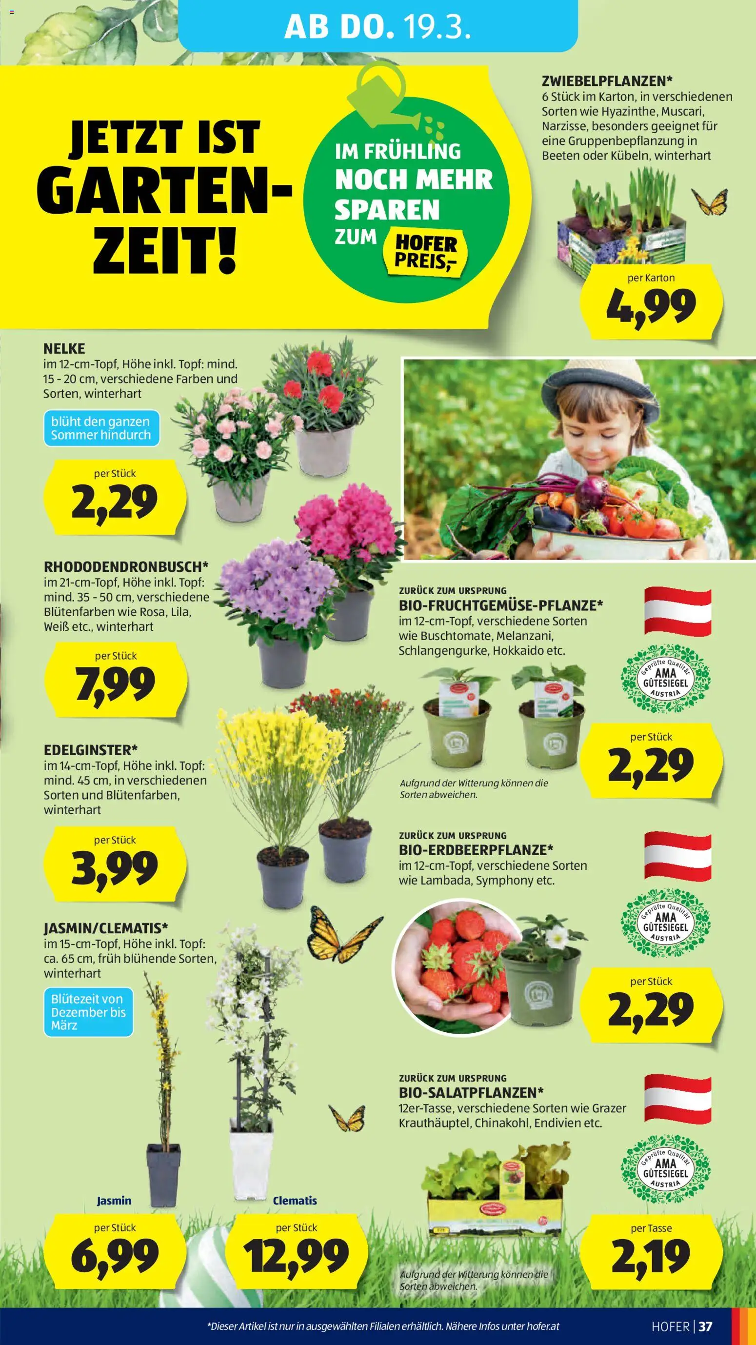 Hofer AT akciós ujság - amely érvényes a következő dátumtól: 13.03.2026 | Oldal: 44