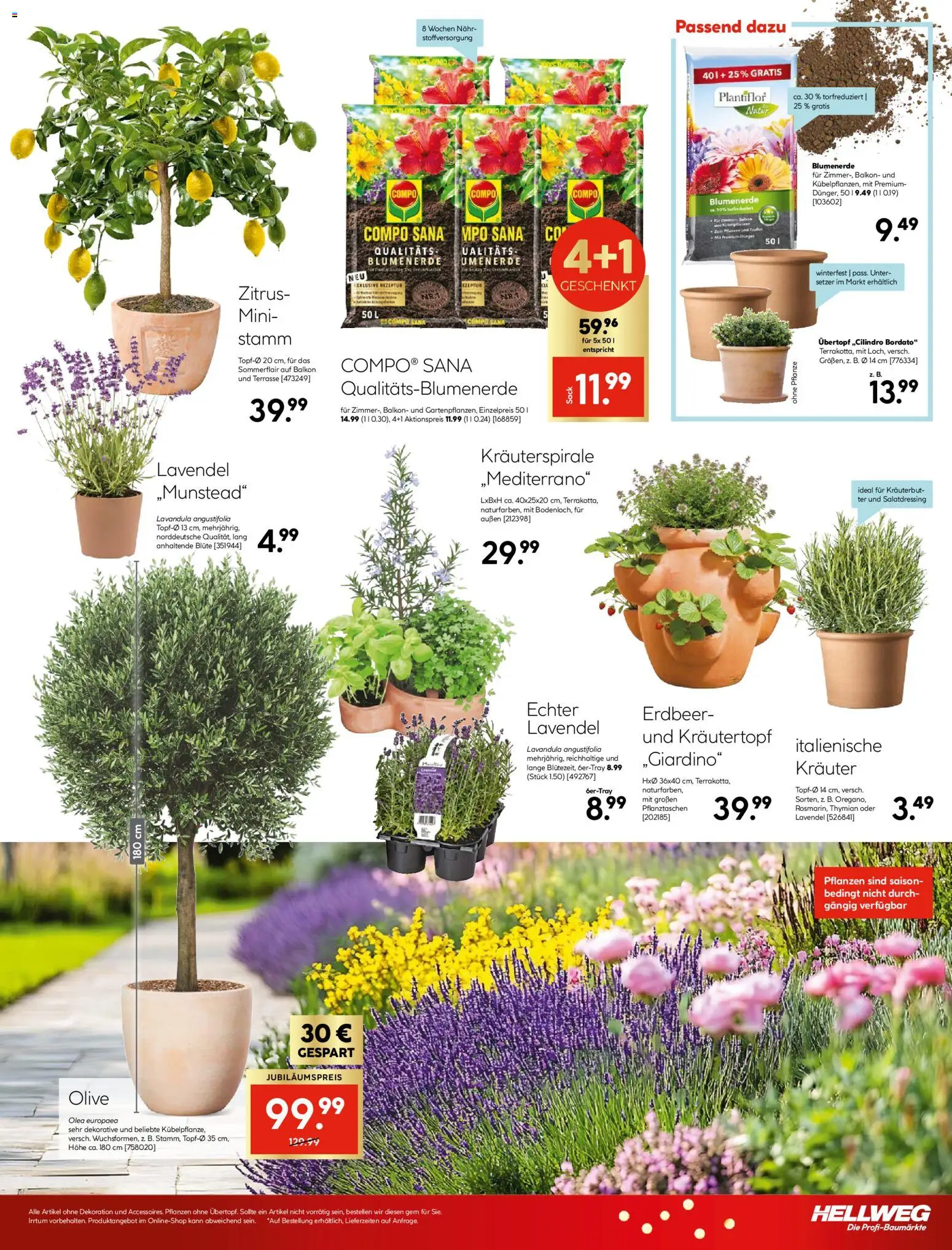 HELLWEG Flugblatt gültig ab 02.04.2026 | Seite: 29