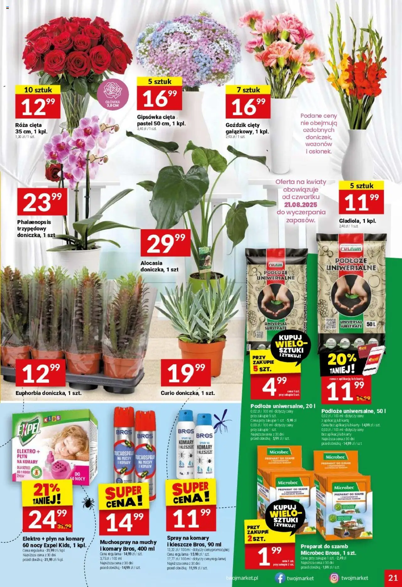 Twój Market Gazetka od 20.08.2025 | Strona: 21 | Produkty: Karta, Goździk, Kwiaty