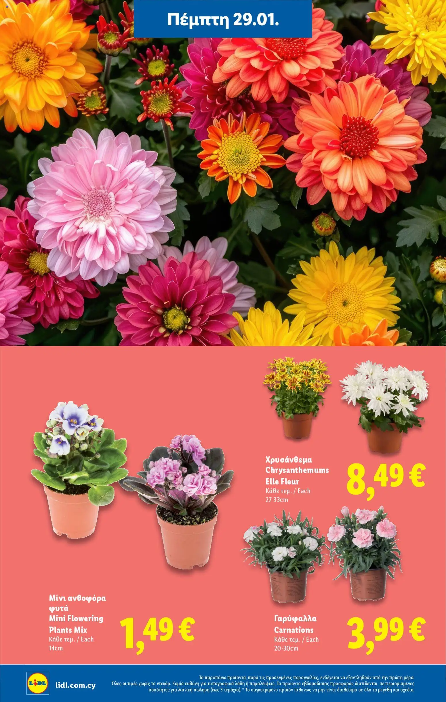 Lidl - Φυλλάδιο – σε ισχύ από 29.01.2026 | Σελίδα: 44