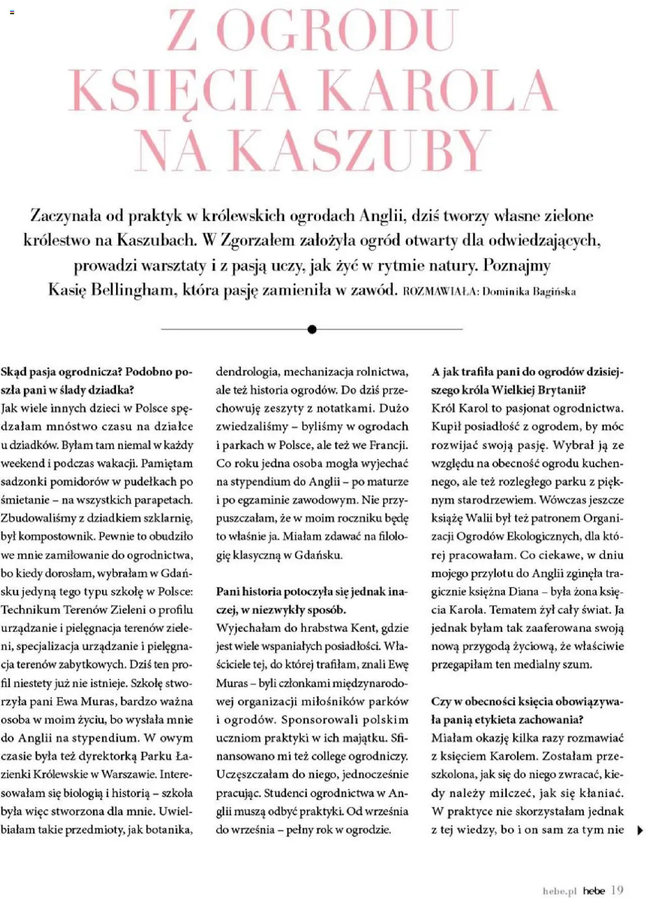 Hebe Gazetka - Magazyn od 01.07.2025 | Strona: 19