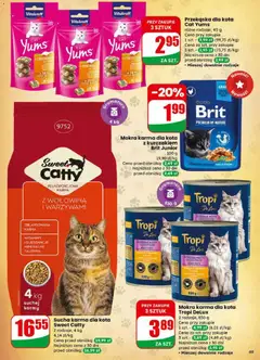 Pogląd oferty "Dino Gazetka" - ważna od 11.02.2026 | Strona: 69 | Produkty: Karma dla kota, Wołowina