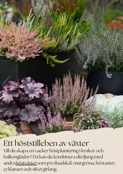 Plantagen - erbjudanden - Förhandsvisning av reklamblad från butik Plantagen aktuell från 27.10.2025 | Sida: 4