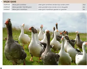 Hanos - Wildbrochure 2025/2026 - Voorbeeld van een folder van Hanos, geldig van 05.10.2025 | Pagina: 18