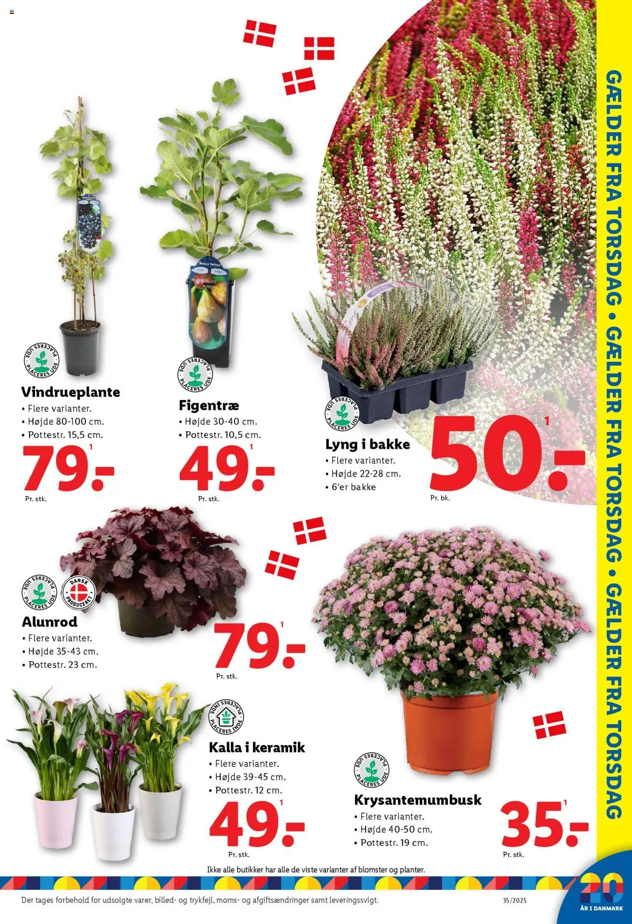 Lidl Tilbudsavis gyldig fra 24.08.2025 | Side: 33