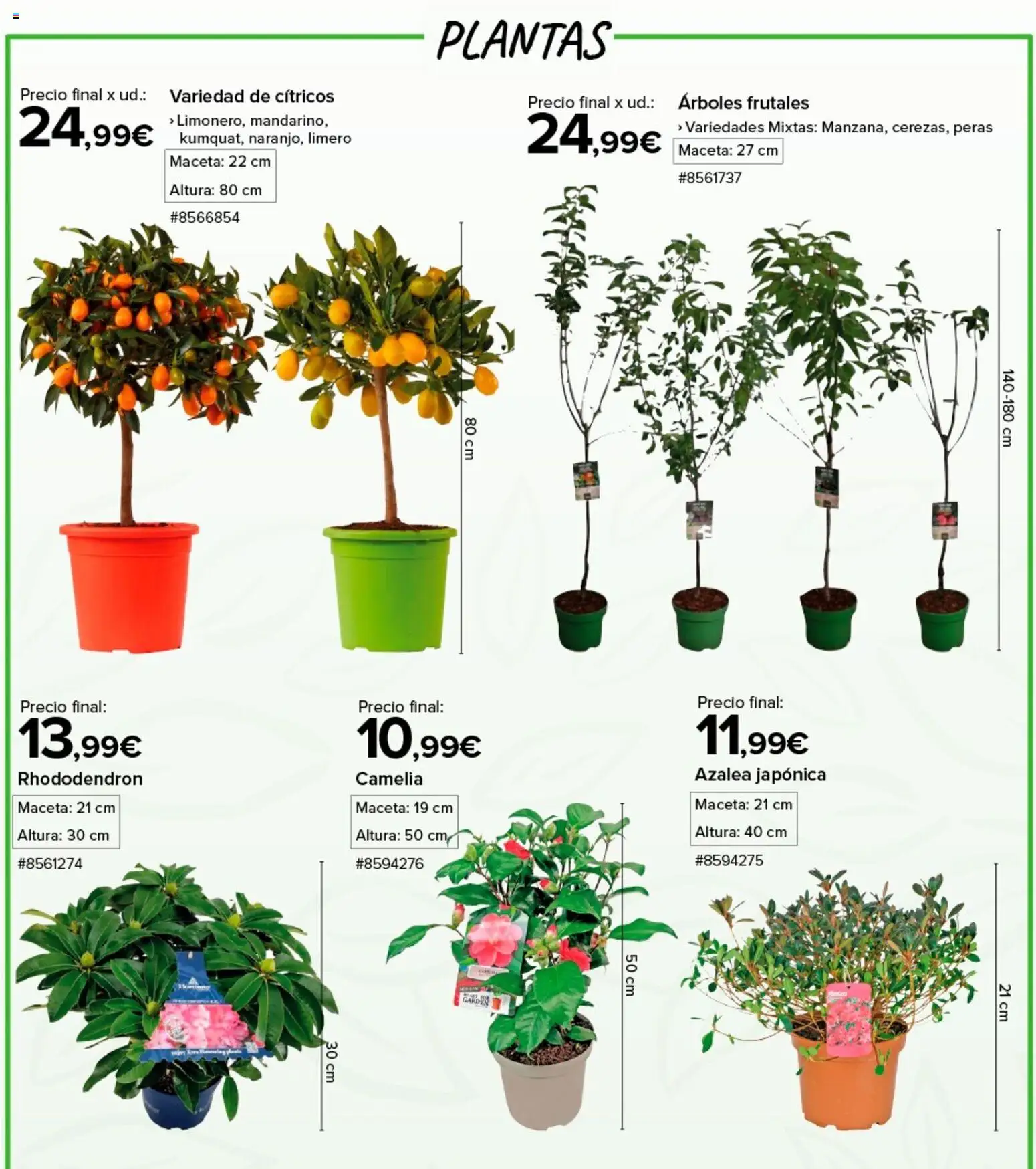 Costco catálogo │ válido desde el 04.03.2026 | Página: 2 | Productos: Maceta