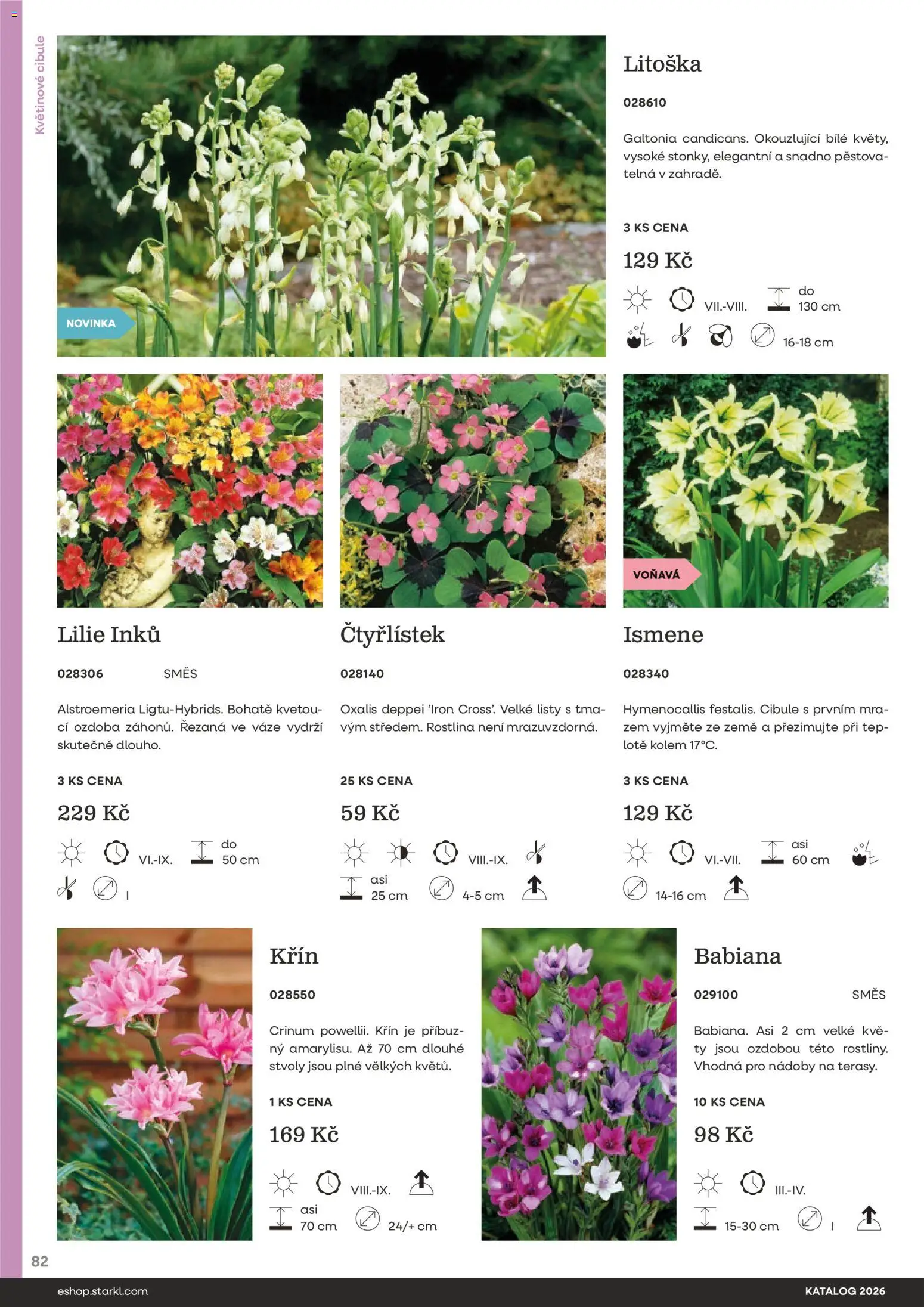 Starkl katalog od 25.02.2026 | Strana: 82 | Produkty: Cibule