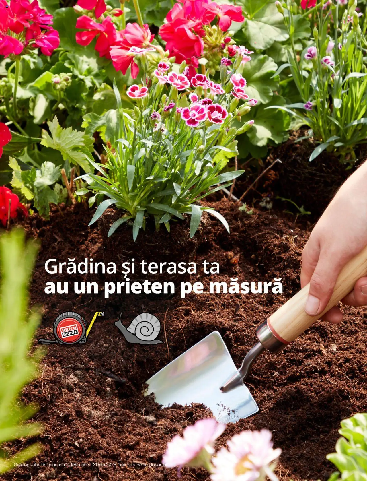 Brico Depot catalog - Semințe – valabil de la 14.02.2025 | Pagină: 1