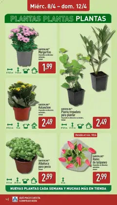 Vista previa GARDENLINE® Albahaca para pesto, Unidad válido desde el 06.04.2026 | Página: 14