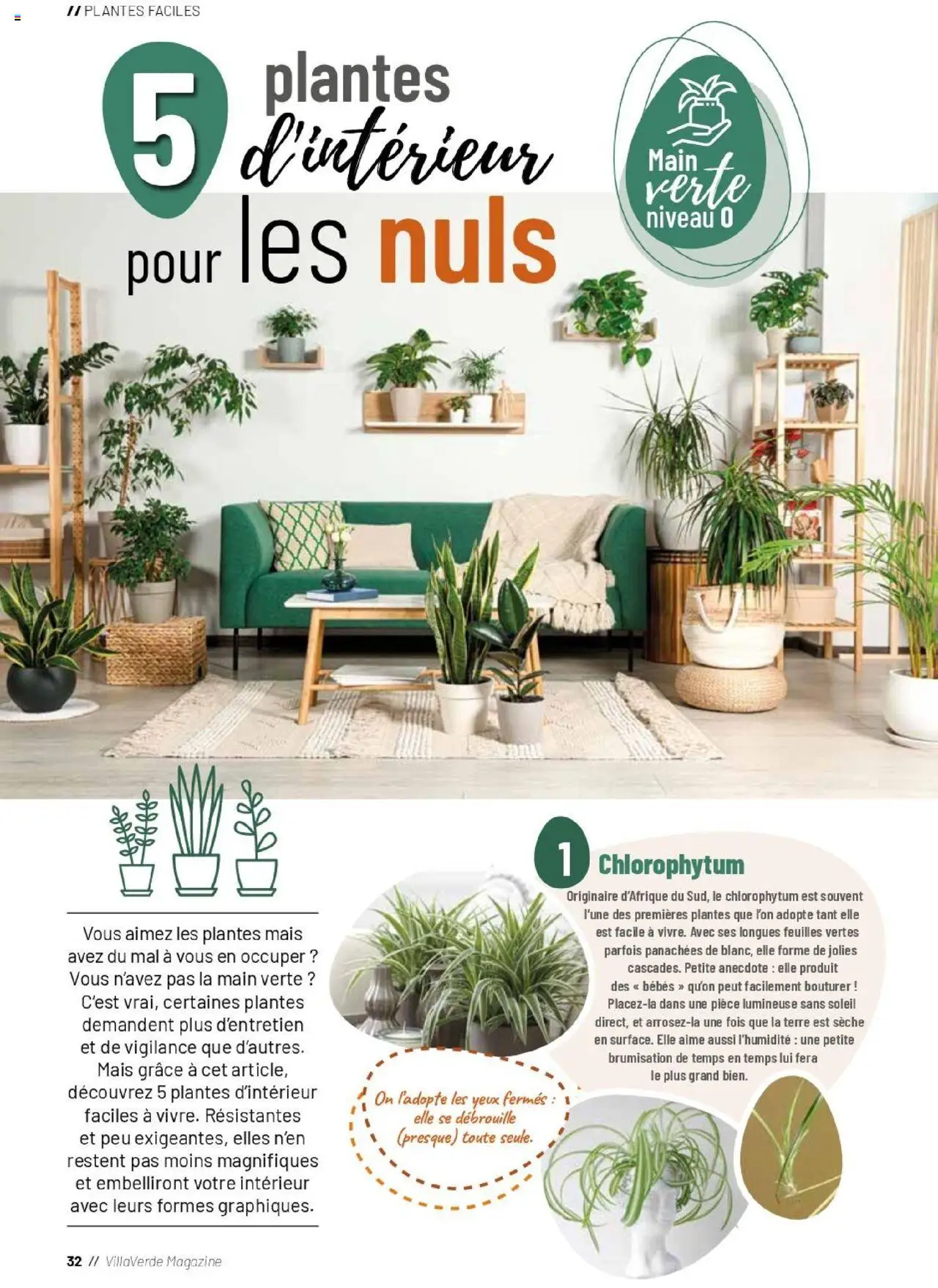{H1} | Page: 32 | Produits: Plantes, Mais, Magazine