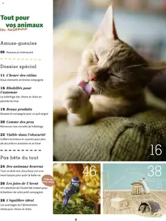 Maxi ZOO - Prévisualisation de Maxi ZOO - Maxizoo Friends  valide à partir de 01.10.2025 | Page: 4 | Produits: Calendrier, Calendrier de l'avent