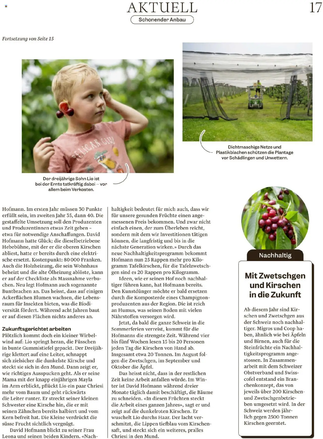 Migros Magazin ab 23.06.2025 | Seite: 17 | Produkte: Zwetschgen, Kirschen, Insgesamt, Früchte