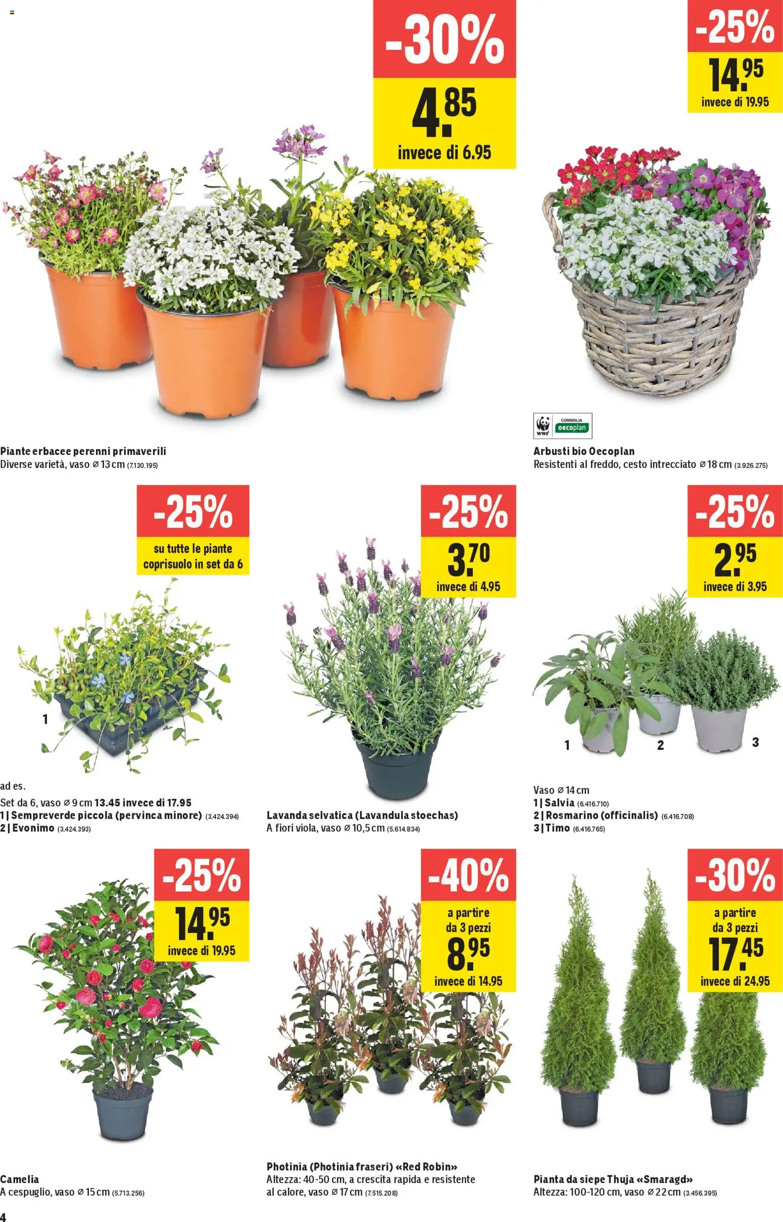 Jumbo aktionen IT – gültig ab 12.03.2026 | Seite: 4