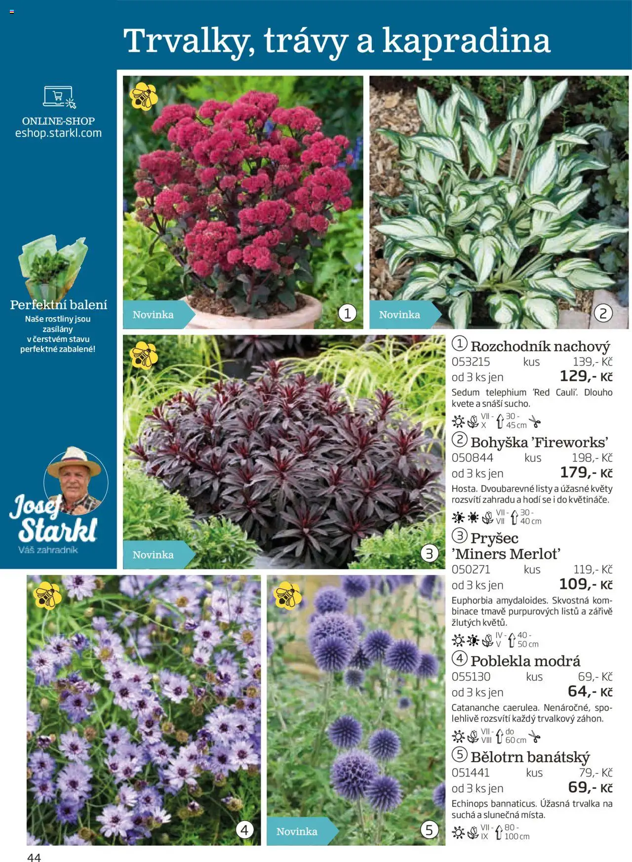 Starkl katalog podzim 2025 od 01.08.2025 | Strana: 44 | Produkty: Rostliny