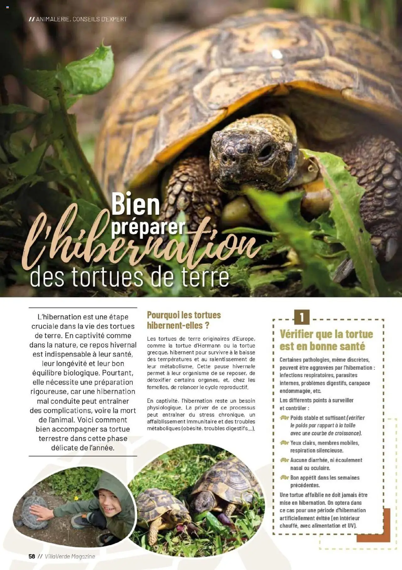 {H1} | Page: 58 | Produits: Poids, Magazine