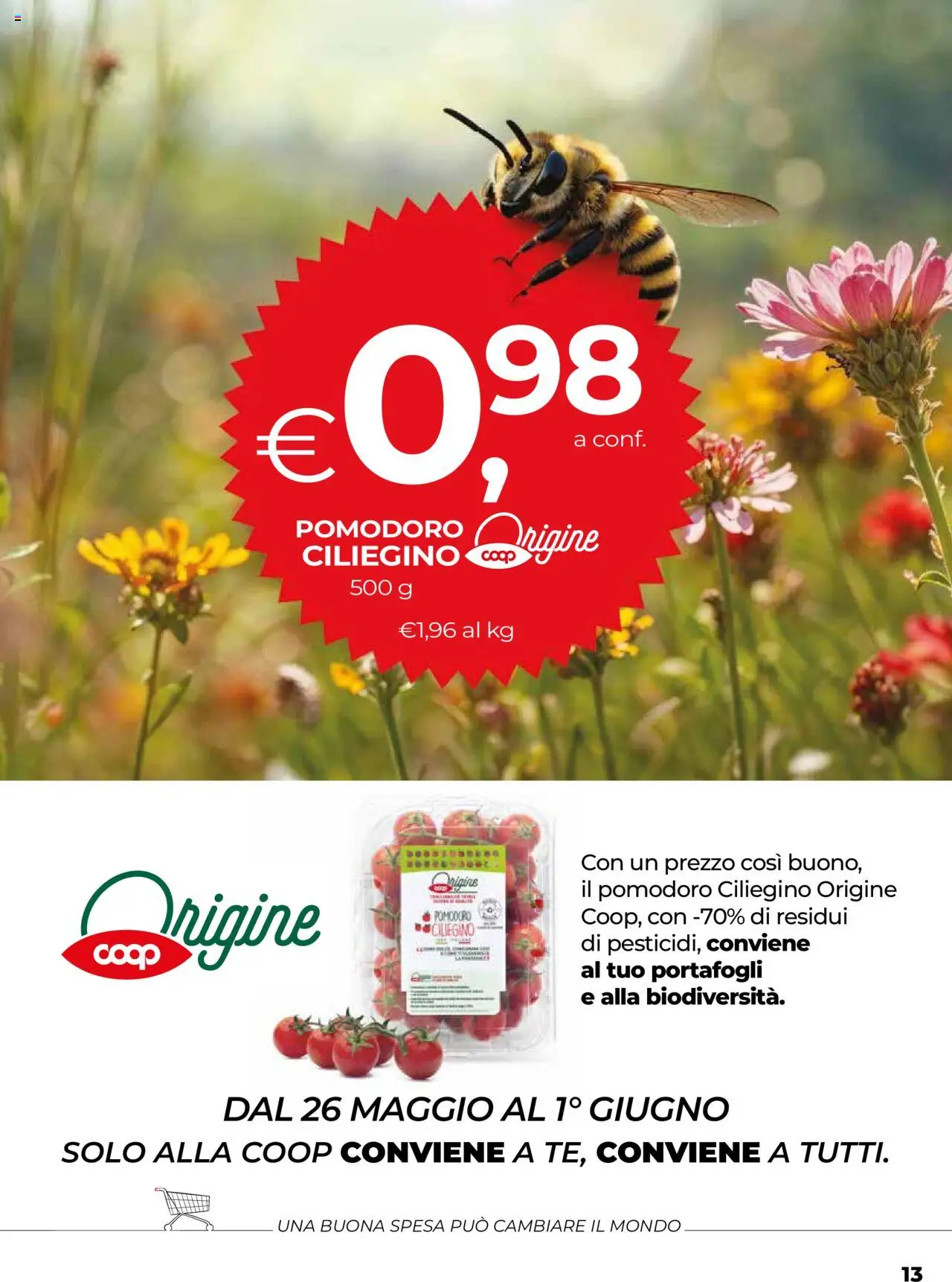 Volantino COOP del 22.05.2025 | Pagina: 13 | Prodotti: Pomodoro