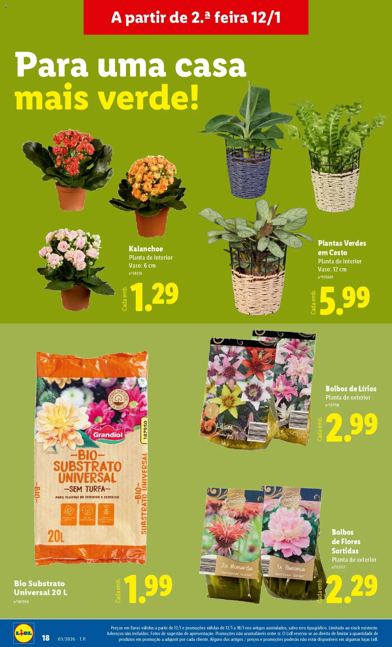 Lidl Novidades │ válido de 12.01.2026 | Página: 18 | Produtos: Flores, Vaso