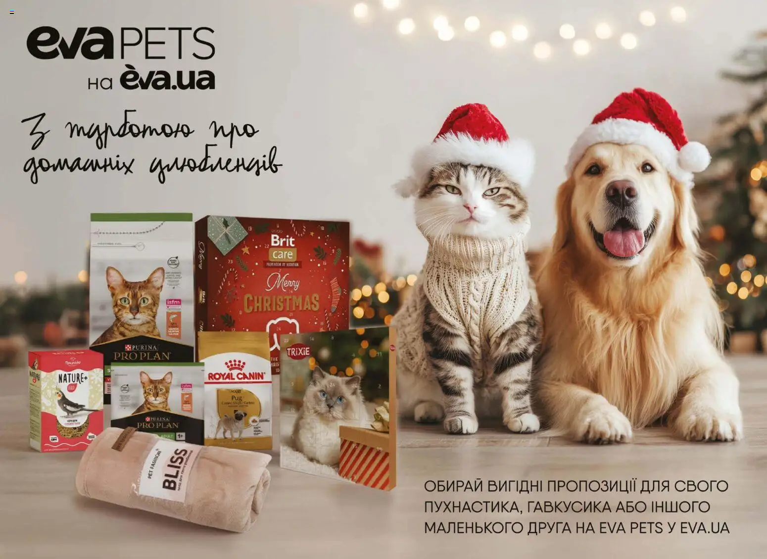 Eva Kаталог - дійснийкції з 18.12.2025 | Сторінка: 50
