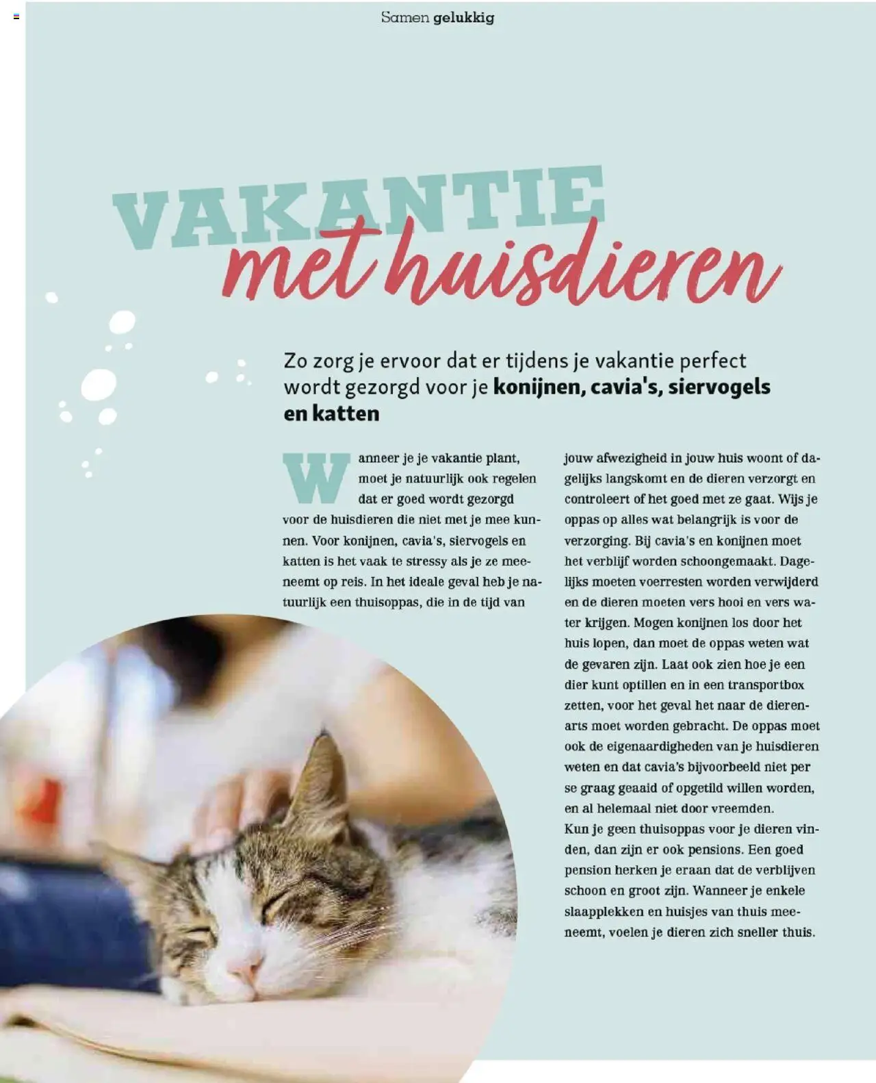 | Pagina: 40