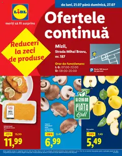 Lidl catalog - Neo Mizil – previzualizare al pliantului de la Lidl valabil de la 21.07.2025