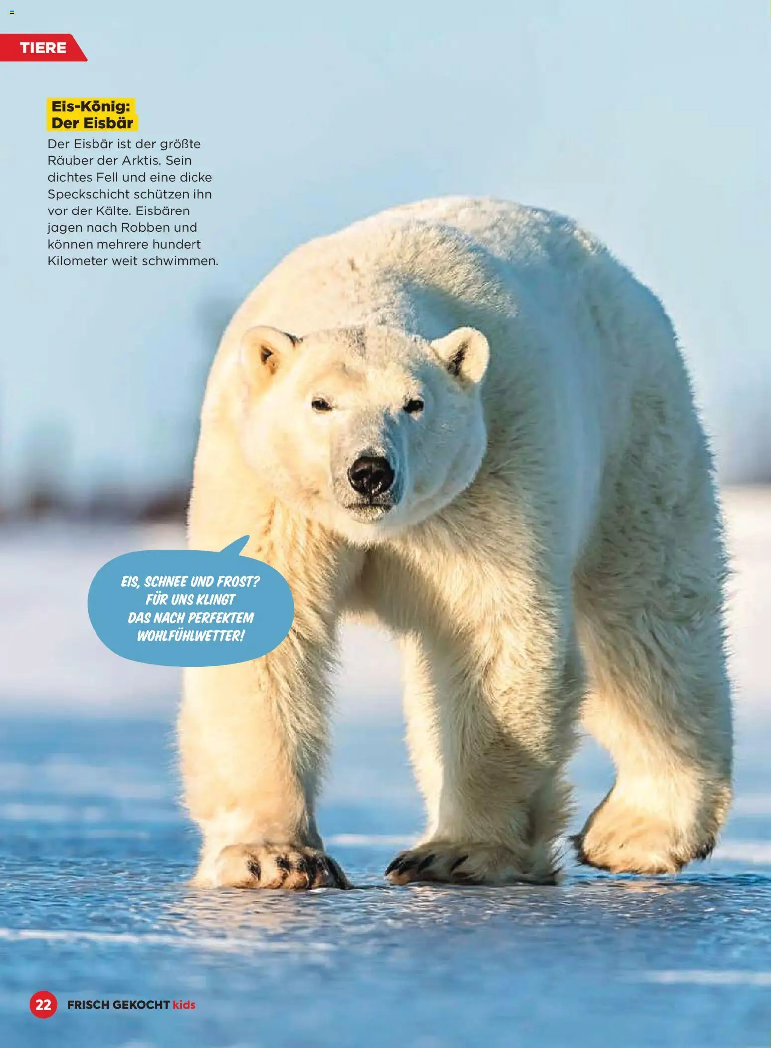 Billa  Frisch Gekocht Kids gültig ab 01.12.2025 | Seite: 22