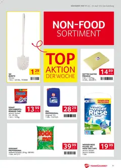 Transgourmet Zustellaktion ab 20.04.2026 gültig | Seite: 31 | Produkte: Bürste