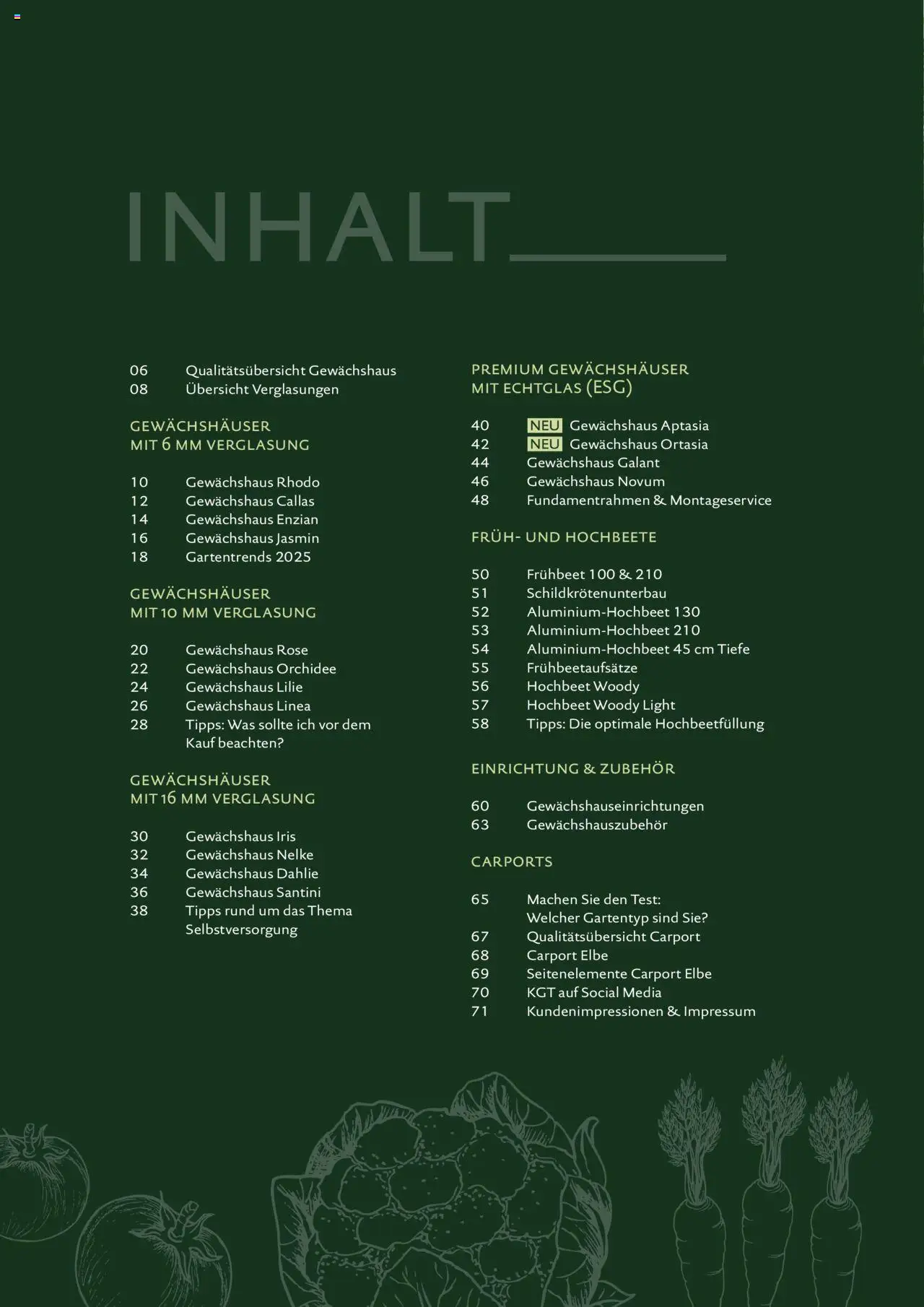 Dehner KGT – Kreative Gartentechnik gültig ab 04.02.2025 | Seite: 4