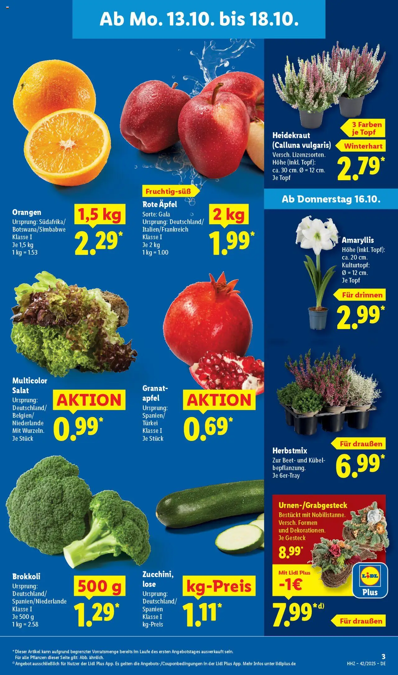 Lidl Prospekt Grimma – gültig ab 13.10.2025 | Seite: 3 | Produkte: Äpfel, Orangen, Brokkoli, Salat